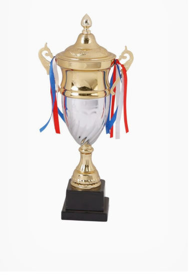 Austin Gold & Silver Cup Trophy